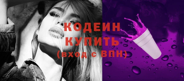 индика Пролетарск