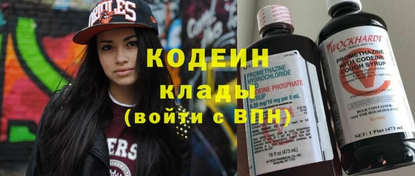 индика Пролетарск