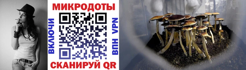 Галлюциногенные грибы Cubensis  магазин  наркотиков  Ишим 