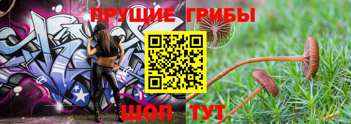 Ишим  Галлюциногенные грибы MAGIC MUSHROOMS  Вход с VPN 